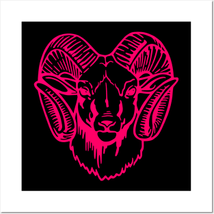 Mascot Head of a Ram (Drawing - Illustration) Razzmatazz Posters and Art